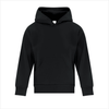 Customizable Youth Hoodie - Printwell Custom Tees